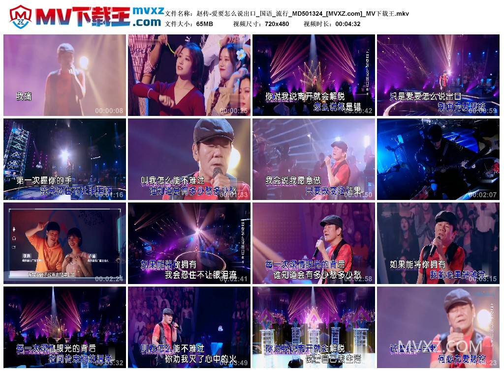 赵传-爱要怎么说出口_国语_流行_MD501324